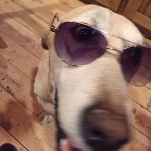 Meet your Posher, Jamie